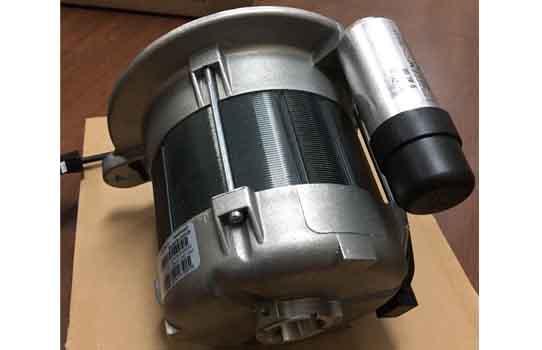 Động cơ motor đầu đốt ECK05/A-2 230V 50Hz WL30, WG30