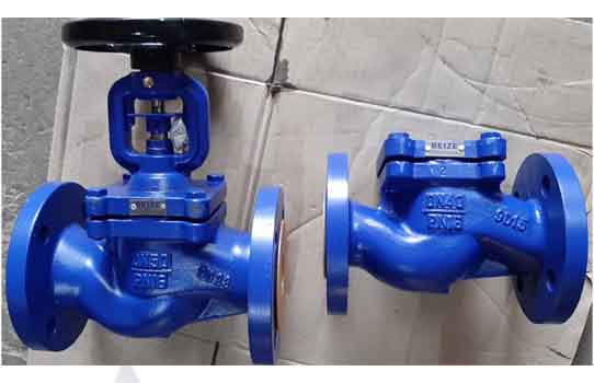 Van cầu van một chiều Beize