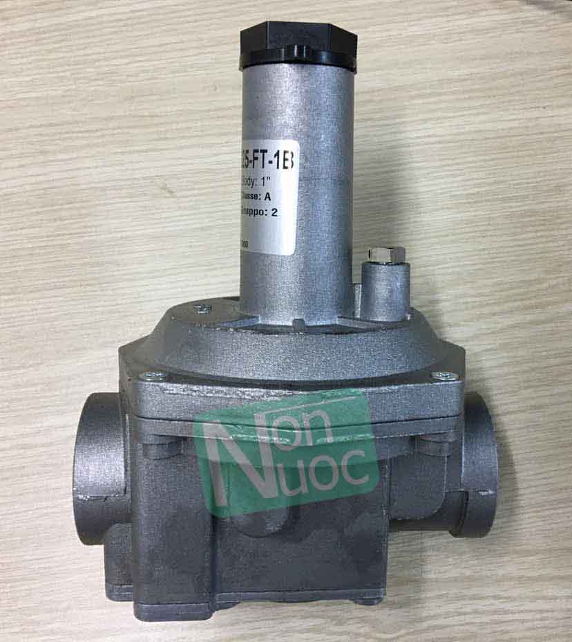 Van giảm áp gas Geca RG025-FT-1B Van giảm áp gas Geca RG025-FT-1B